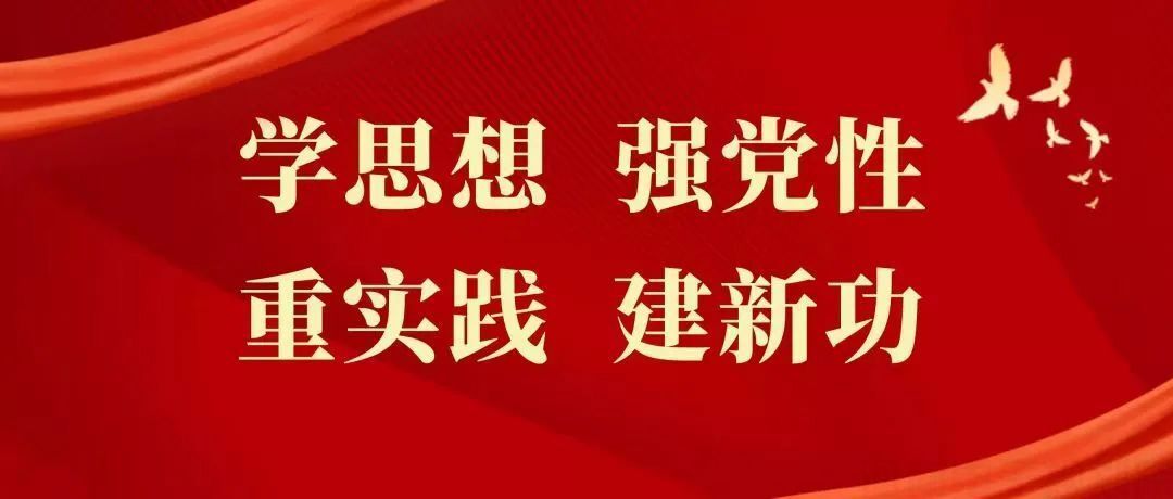 河南省电子规划研究院党委举行学习贯彻习近平新时代中国特色社会主义思想主题教育集体学习研讨会